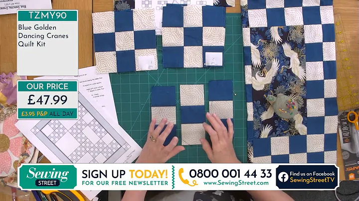 Sewing Street - 03/08/20 - Introducing Quilting Ex...