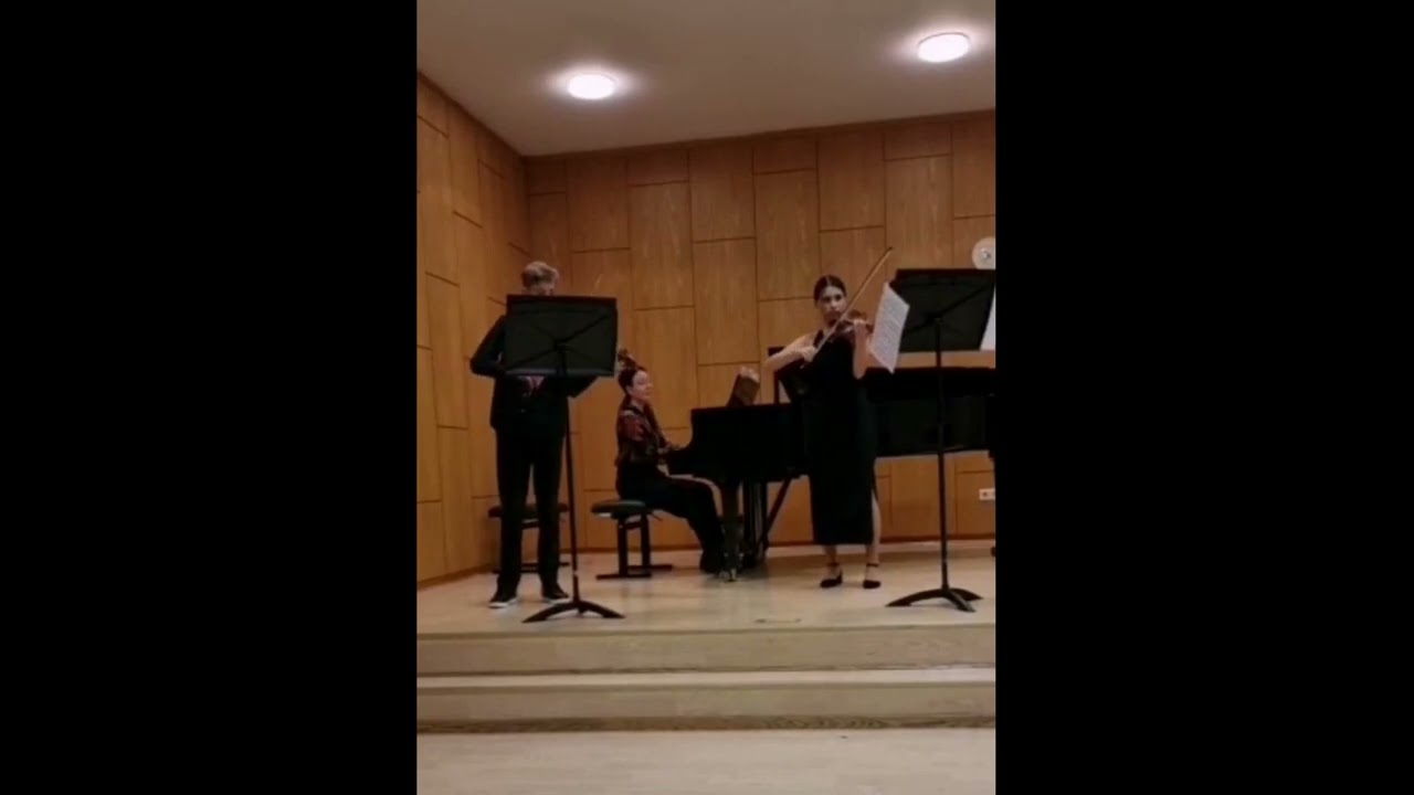 J. S. Bach: Konzert d-moll für 2 Violinen, 1. Satz