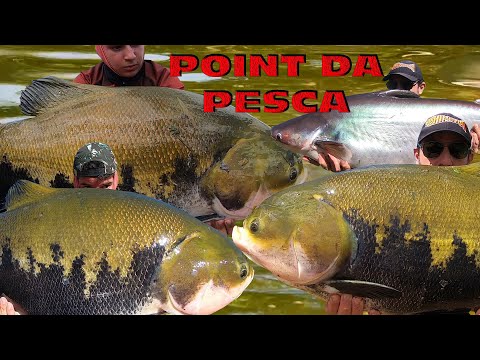 Cevadeira e Boia Pão com os Gigantes do Point da Pesca (Fishingtur #825)