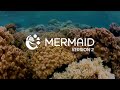 What's new in MERMAID Version 2