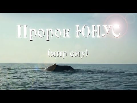 Пророк Юнус | Истории пророков | Динара Садретдинова