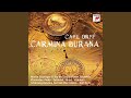 Carmina burana no 23 dulcissime