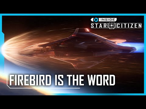 Star Citizen: Inside Star Citizen: Firebird Is The Word