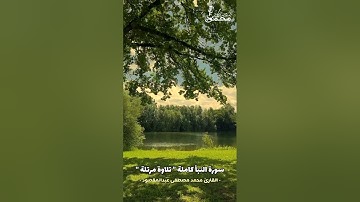 سورة النبأ | القارئ محمد مصطفى عبدالمقصود