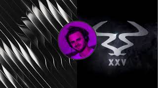 Dimension X Sub Focus - Sensory Division X X-Ray (Metrik Remix)(Mashup)