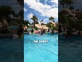 Want A UNIQUE Pool Experience In LAS VEGAS?