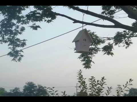 [TJ노래방라운지] Everlasting - 보아