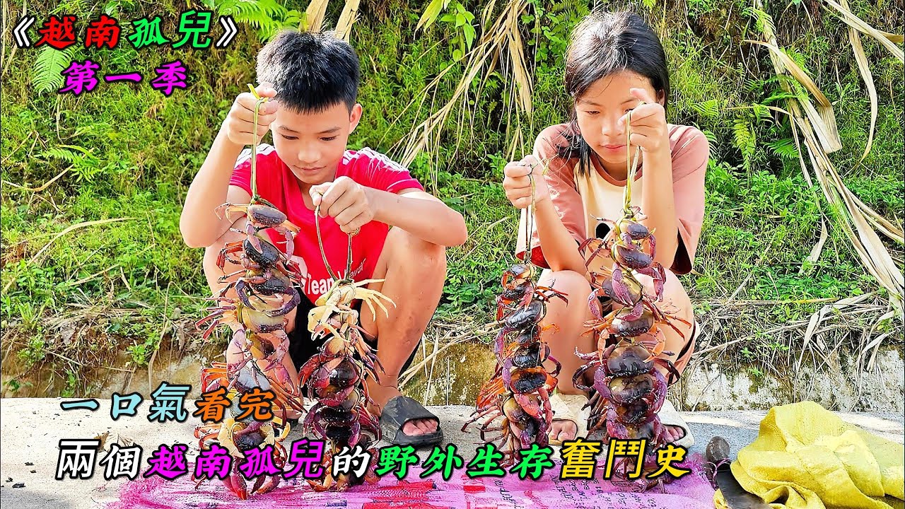 一口氣看完，兩個越南孤兒的野外生存奮鬥史《越南孤兒》第一季（01-03）