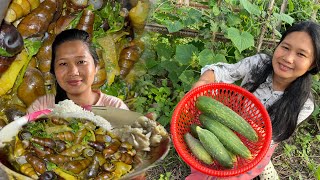 Cooking and Eating River Snail | Plucking Green Cucumber from my farm | Village Wife lifestyle