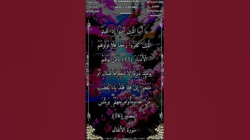 يا أيها الذين آمنوا إذا لقيتم الذين كفروا زحفا فلا تولوهم الأدبار #سورة_الأنفال  #بدر_التركي