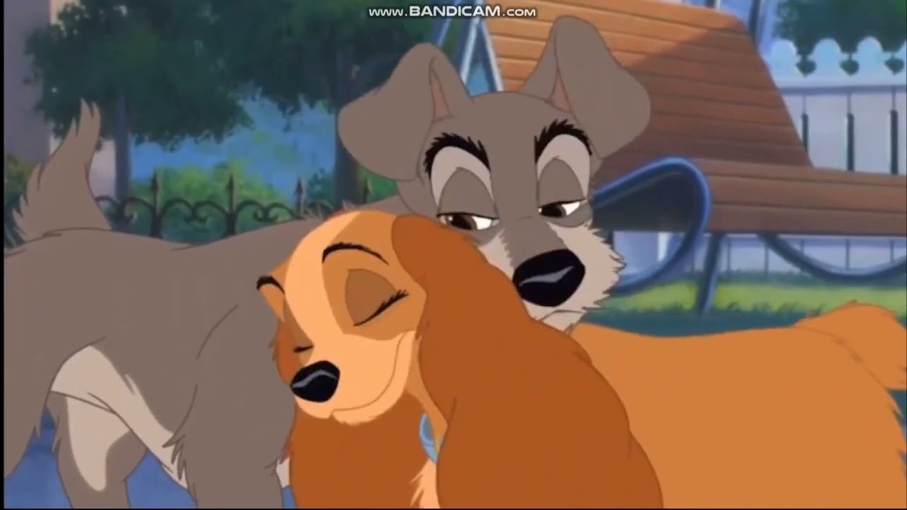 DRVMV: I See the Light