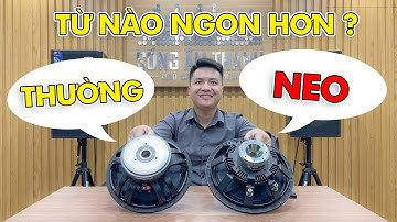 Từ Neo & Từ Thường , Từ Nào Dùng Ngon Hơn ???