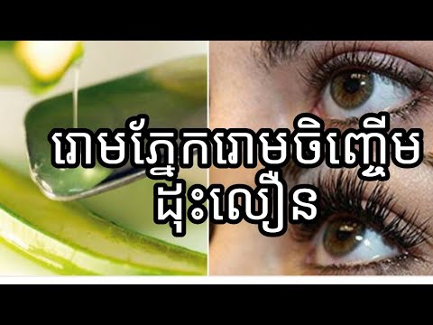 prominent brow, growing eyebrow,បណ្ដុះរោមចិញ្ចើម,រោមភ្នែកល្អបំផុត,