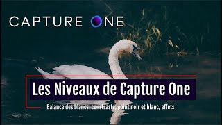 Les Niveaux De Capture One