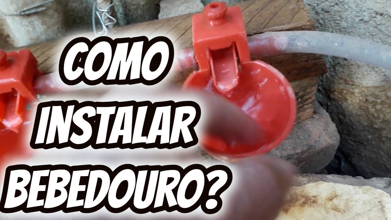 Como instalar Modelo de Bebedouro autom\u00e1tico tipo copinho para aves ...