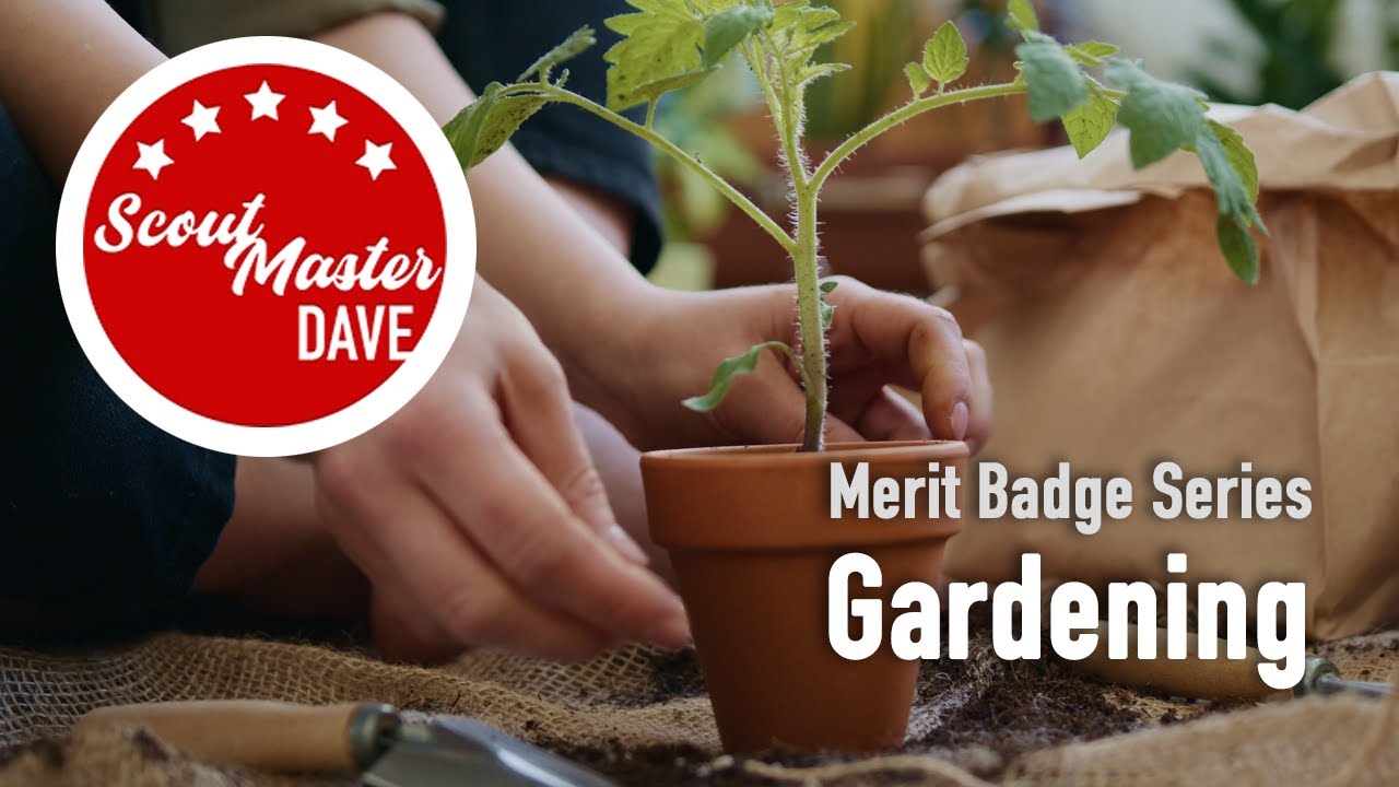 🌻 Gardening Merit Badge Overview | ScoutMaster Dave