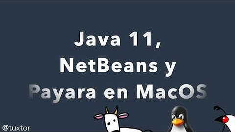 Instalación de Java 11, NetBeans 12 y Payara 5 en MacOS
