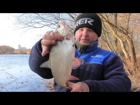 Wideo: Jak Spędzić Niezwykły Dzień