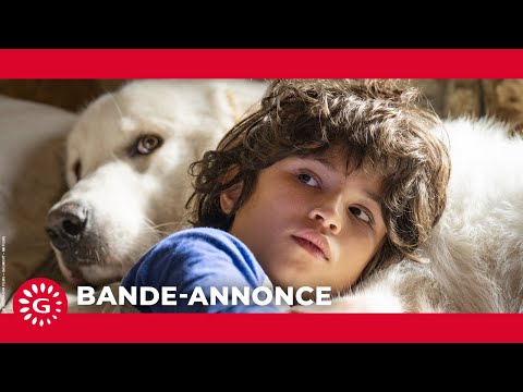 BELLE ET SÉBASTIEN : NOUVELLE GÉNÉRATION - Bande-annonce [Le 19 octobre au cinéma]