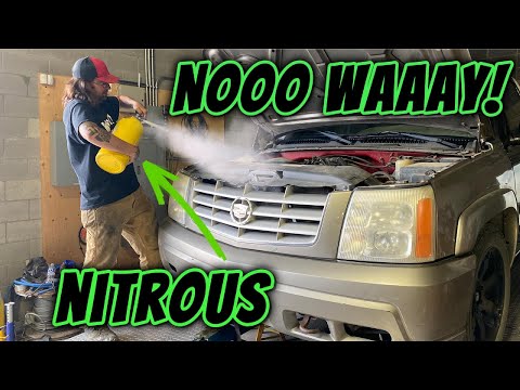 We Took Frank To The Dyno!