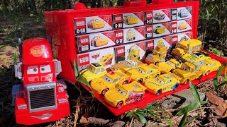 There are 12 yellow Cars miniature cars (Tomica) in the woods. I will store them.