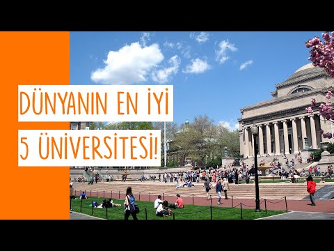 Dünyanın En İyi 5 Üniversitesi Neler? Hangi Alanda Öndeler?