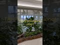 TAIPEI International Airport.