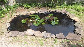 Budget $80 Garden Pond no pump needed