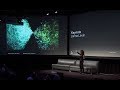 BTC 2019 | Plenary keynote: Janna Levin