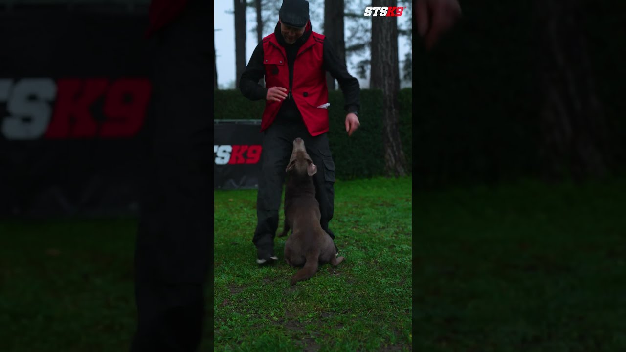 How To Lure & Fade ! 