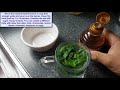 Making Basil Tea