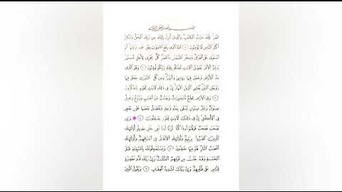 تلاوة خاشعة لأوائل سورة الرعد للقارئ حمزة البدوي