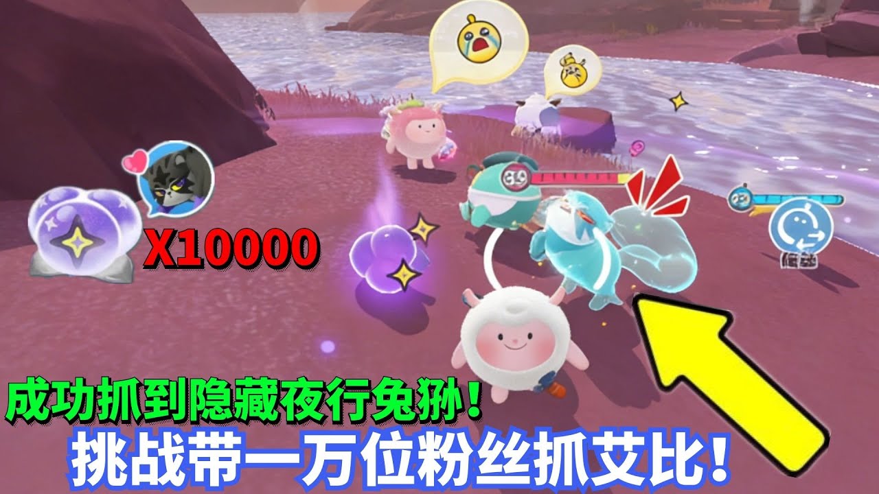 挑战带10000位粉丝抓艾比！成功带粉丝抓到彩光隐藏异色夜行兔狲！【蛋仔罗修大美丽】