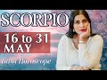 Scorpio tarot reading from 16 to 31 may  2024