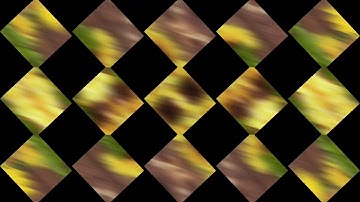 AJ 2D Intro Commission For WildCrazyCatz || AJ/AJPW intro