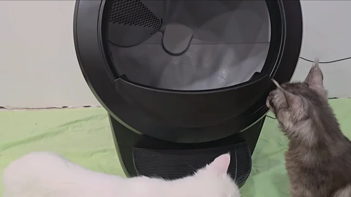 Video 8843101: maine coon litter, best cat litter, clean litter, review