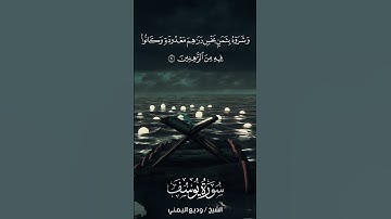 سورة يوسف | Yūsuf | آية 20 | الشيخ وديع اليمني