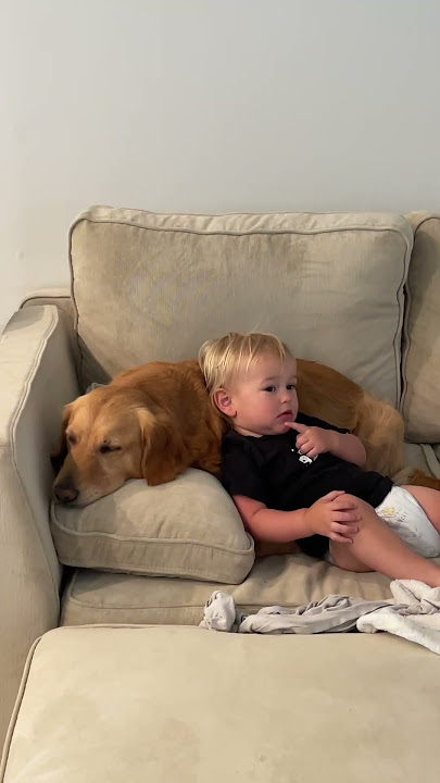 Қарт қаңғыбас әйелді есекке сиғызды