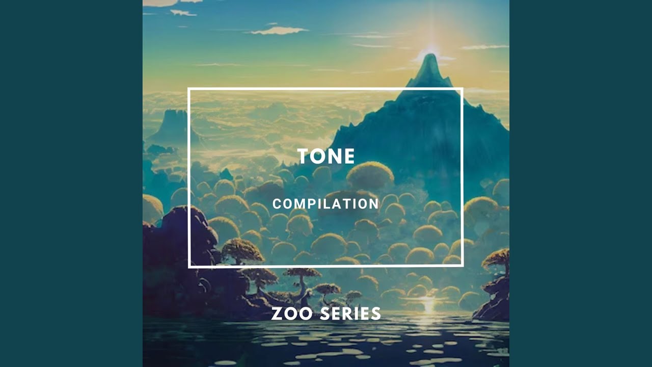 Watch Point on YouTube Watch Point on YouTube