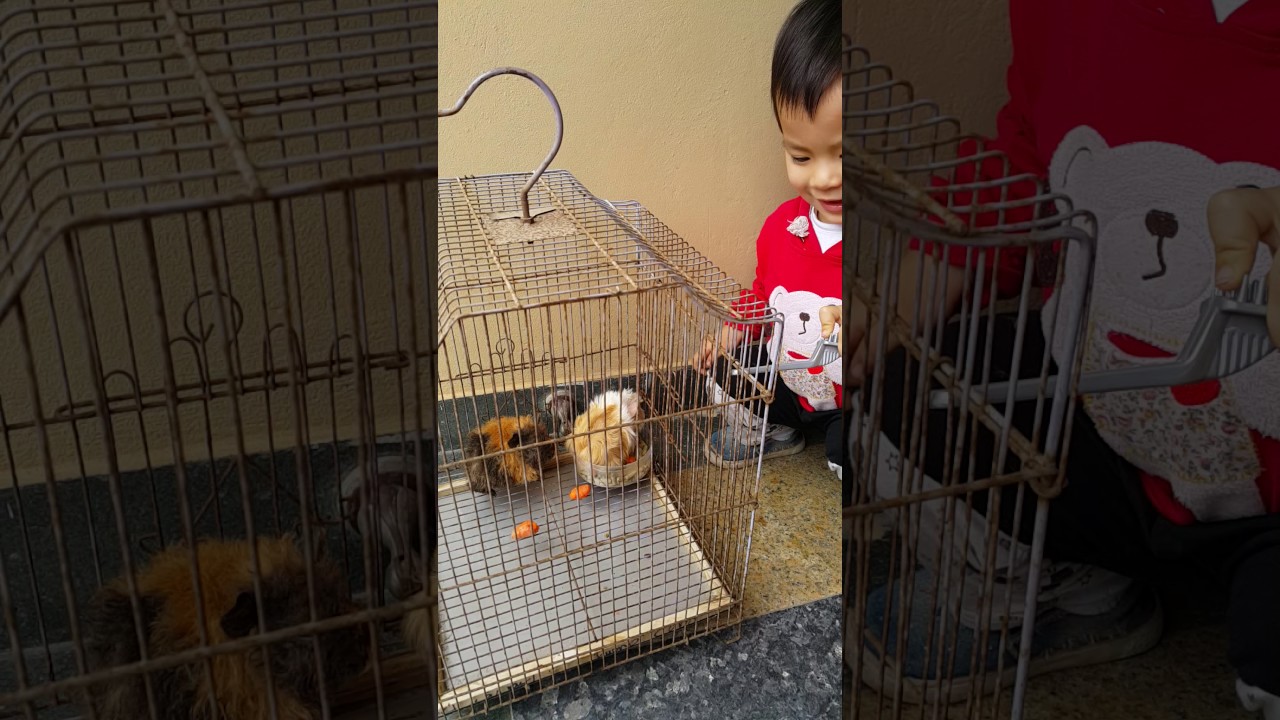 camera iphone 8 plus apk Bọ ú