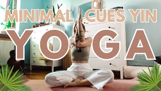 30 Min Minimal Cues Yin Yoga: No Talking, No Music
