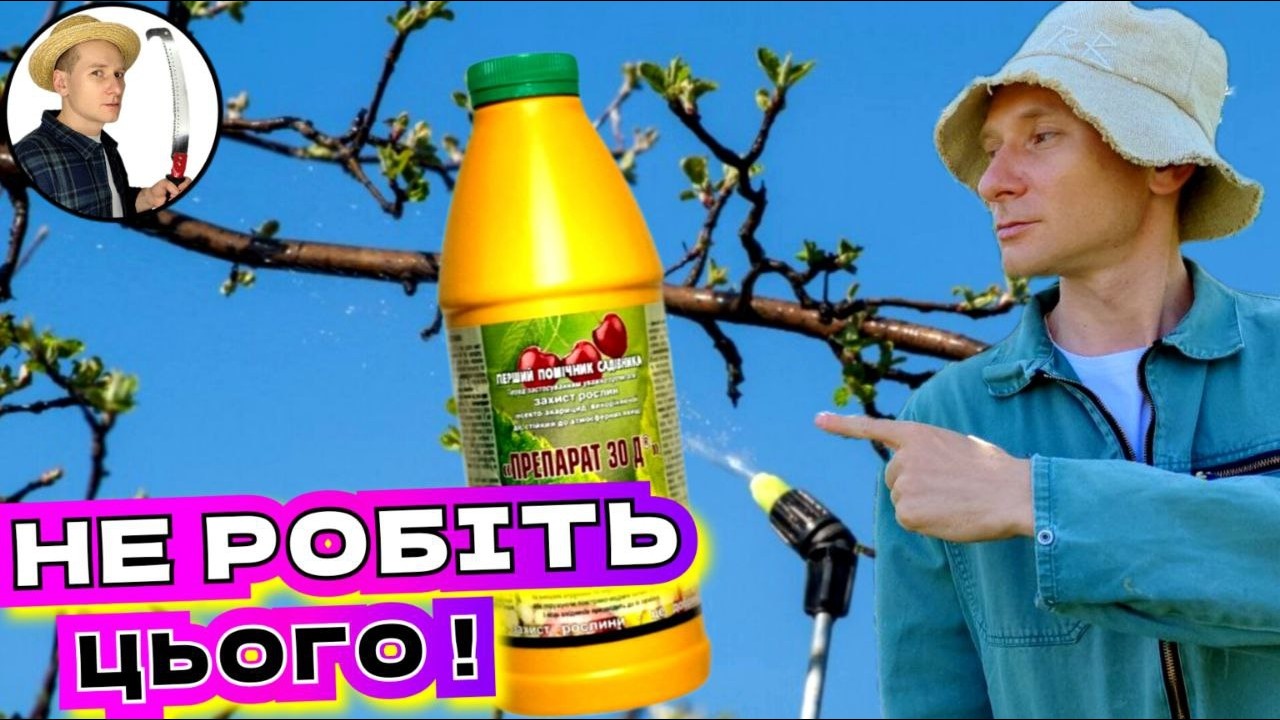 НЕ РОБІТЬ ЦЬОГО Весна приходить! Як врятувати сад від шкідників без помилок?