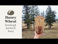Honey Wheat Sourdough Sandwich Bread – A Beautiful, Soft & Fluffy Loaf!