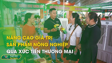 Nâng cao giá trị sản phẩm nông nghiệp qua xúc tiến thương mại | Thái Nguyên TV