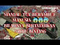 Mandau Tua 😱 Dayak Ngaju, dari Sungai Hampatung.
