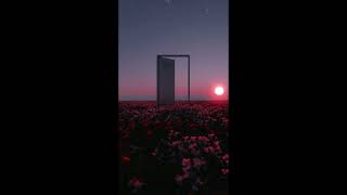 (free) acoustic guitar x trap type beat - "CATALINA"