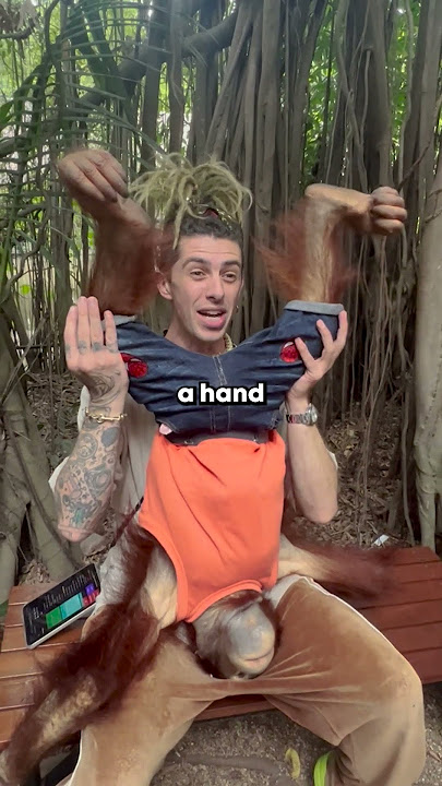 Monyet Mencengkeram N*ts-ku! 🐵 | #shorts #viral #sampepperlive