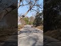 #village #road #viral #shorts #bike