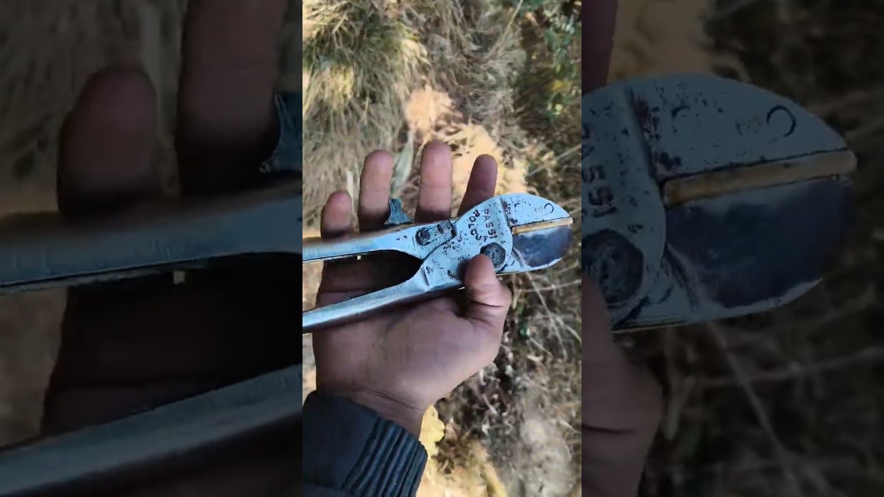 Khet me pruning ka kam 😱 