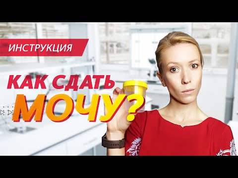 Как сдать анализ мочи? | Пошаговая инструкция с объяснениями